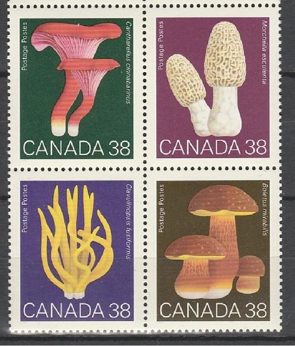 Грибы, Канада 1989, квартблок 1й вариант